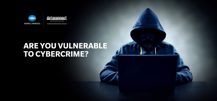 Are You Vulnerable To Cybercrime?